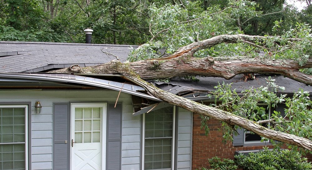 Storm/wind damage